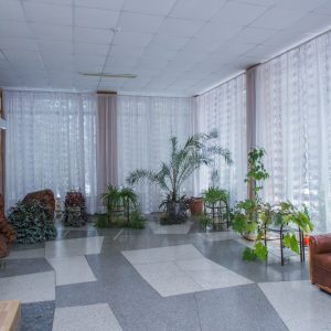 Зеленая зона в санатории Пикет город Кисловодск - фотография