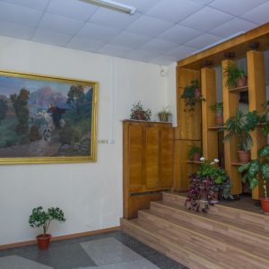 Зеленая зона в санатории Пикет город Кисловодск - фотография