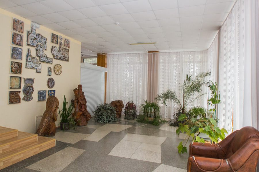 Зеленая зона в санатории Пикет город Кисловодск - фотография