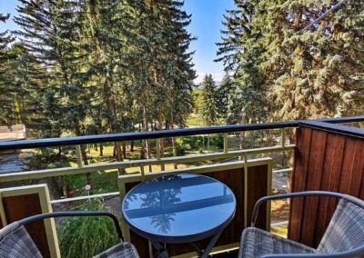 Номер «Люкс Комфорт» в санатории «Пикет» в г. Кисловодск - фотография