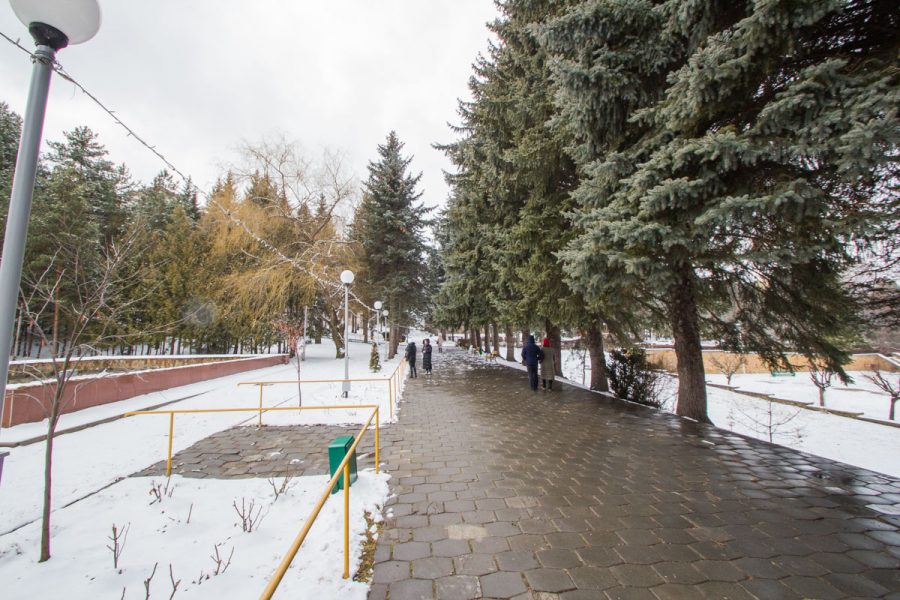 Прогулочная аллея в санатории Пикет город Кисловодск - фотография