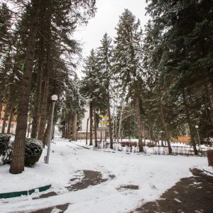 Прогулочная аллея в санатории Пикет город Кисловодск - фотография