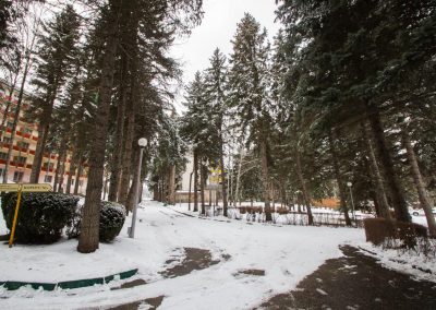 Прогулочная аллея в санатории Пикет город Кисловодск - фотография