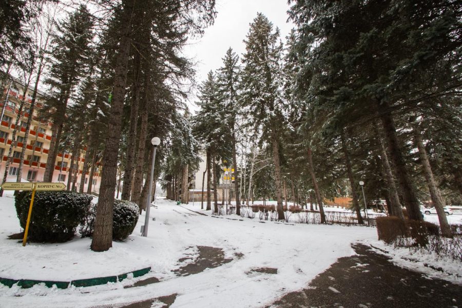 Прогулочная аллея в санатории Пикет город Кисловодск - фотография