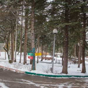 Прогулочная аллея в санатории Пикет город Кисловодск - фотография