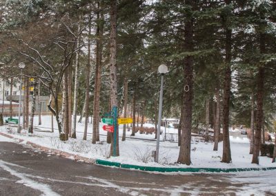 Прогулочная аллея в санатории Пикет город Кисловодск - фотография