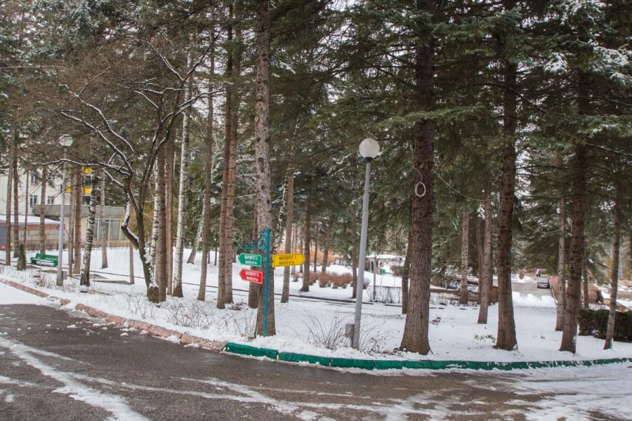 Прогулочная аллея в санатории Пикет город Кисловодск - фотография