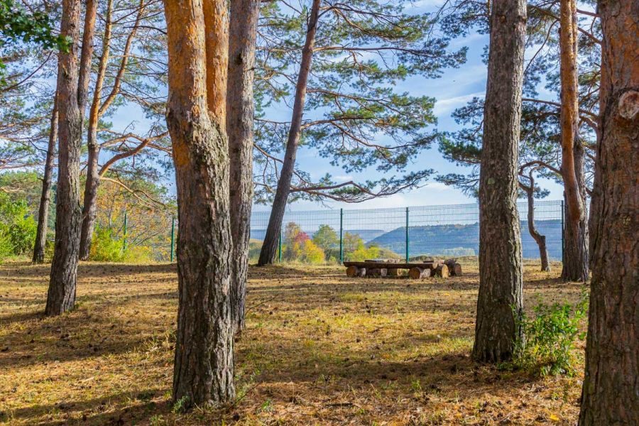 Смотровая площадка в санатории Пикет город Кисловодск - фотография