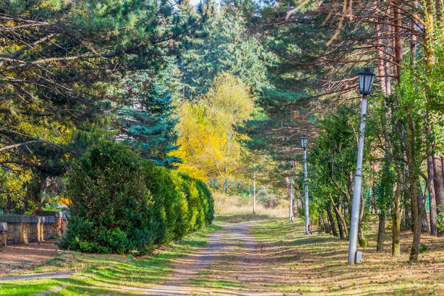 Терренкур в санатории Пикет город Кисловодск - фотография
