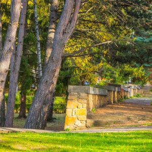 Парковая зона в санатории Пикет город Кисловодск - фотография