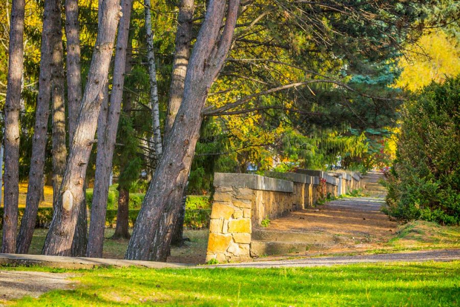 Парковая зона в санатории Пикет город Кисловодск - фотография