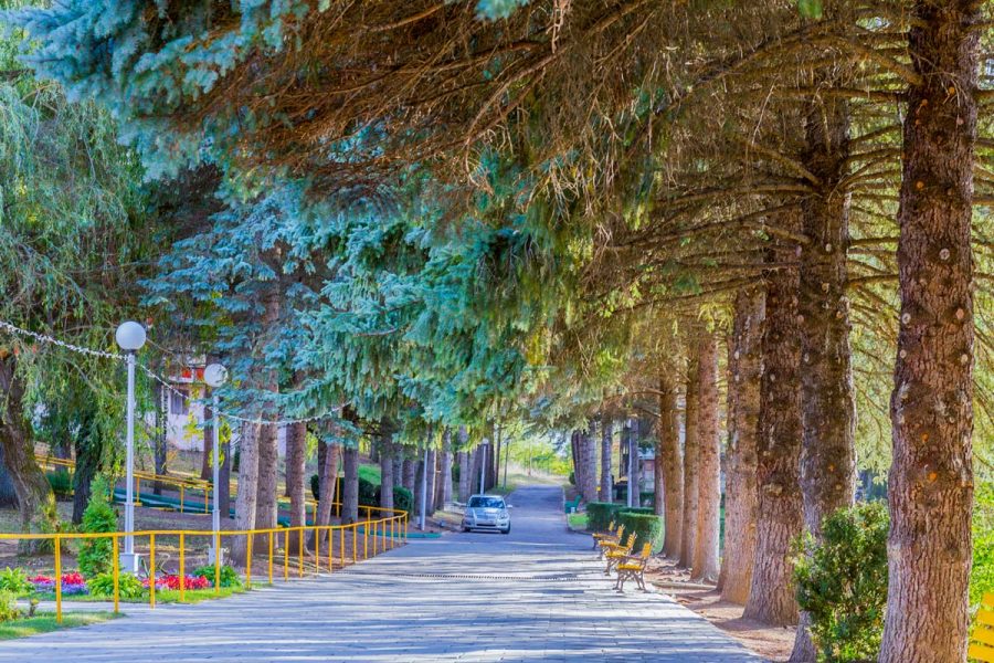 Прогулочная аллея в санатории Пикет город Кисловодск - фотография