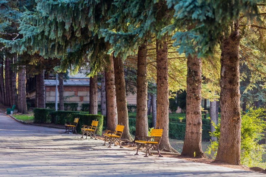 Прогулочная аллея в санатории Пикет город Кисловодск - фотография