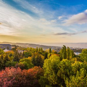 Вид на парковую зону с санатория Пикет город Кисловодск - фотография
