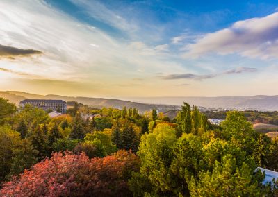 Вид на парковую зону с санатория Пикет город Кисловодск - фотография
