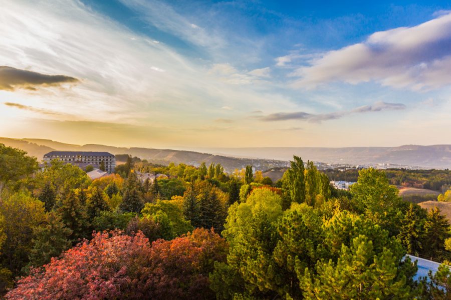 Вид на парковую зону с санатория Пикет город Кисловодск - фотография