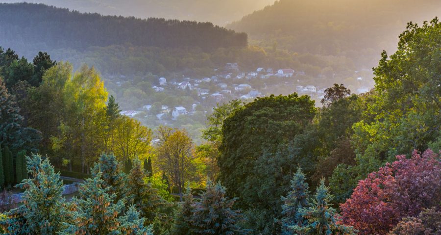 Вид на парковую зону с санатория Пикет город Кисловодск - фотография