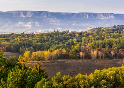 Вид на парковую зону с санатория Пикет город Кисловодск - фотография