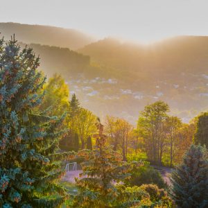 Вид на парковую зону с санатория Пикет город Кисловодск - фотография