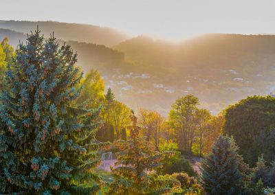 Вид на парковую зону с санатория Пикет город Кисловодск - фотография
