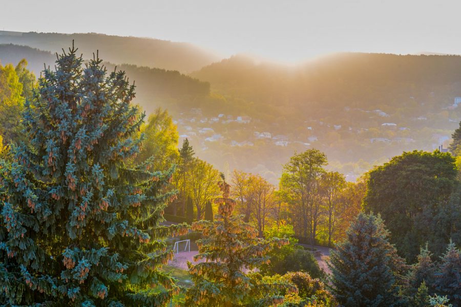 Вид на парковую зону с санатория Пикет город Кисловодск - фотография