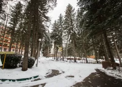 Прогулочная аллея в санатории Пикет город Кисловодск - фотография