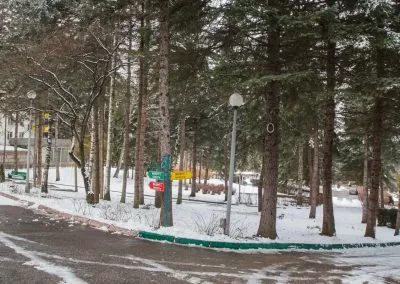 Прогулочная аллея в санатории Пикет город Кисловодск - фотография