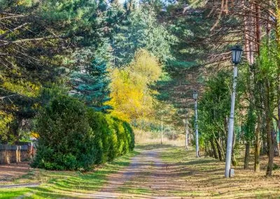 Терренкур в санатории Пикет город Кисловодск - фотография