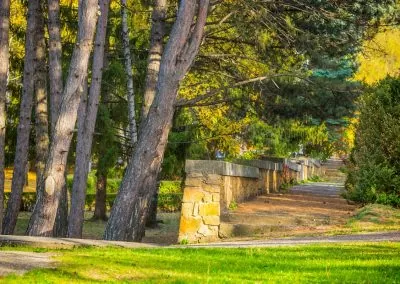 Парковая зона в санатории Пикет город Кисловодск - фотография