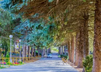 Прогулочная аллея в санатории Пикет город Кисловодск - фотография