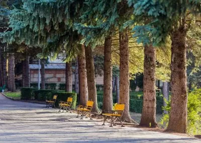 Прогулочная аллея в санатории Пикет город Кисловодск - фотография